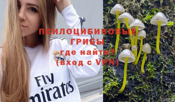 гидропоника Арсеньев