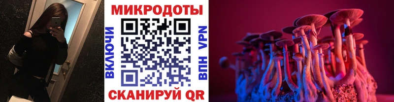 хочу   Валдай  Галлюциногенные грибы GOLDEN TEACHER 